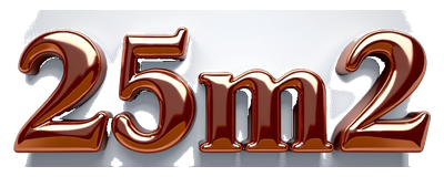 25m2 logo